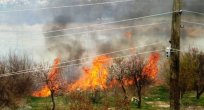 Gülşehir'de Sazlık Yangını
